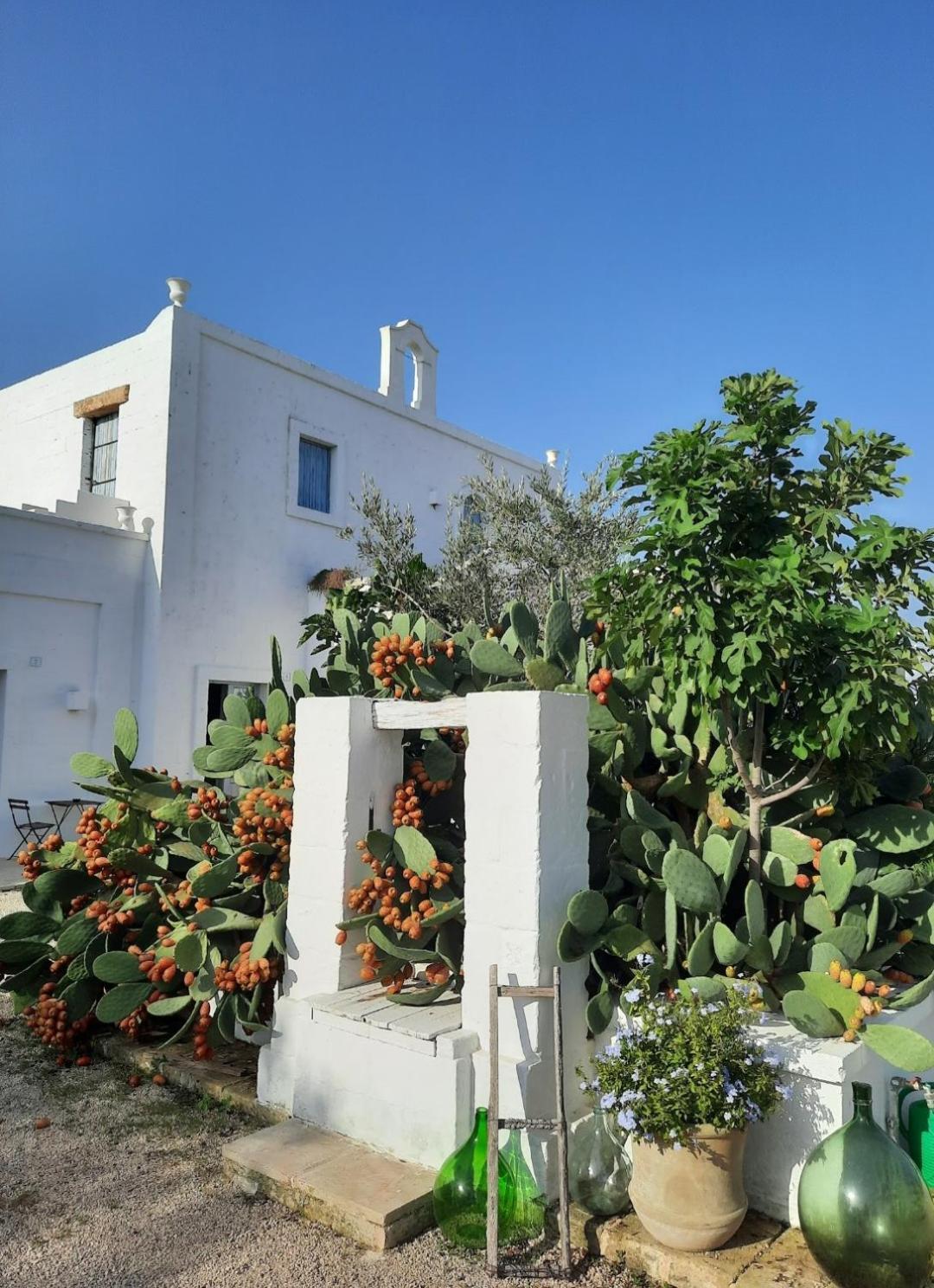 Masseria Fulcignano Galatone Exterior photo