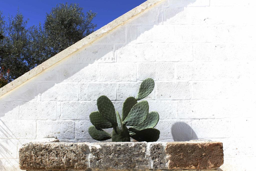 Masseria Fulcignano Galatone Exterior photo
